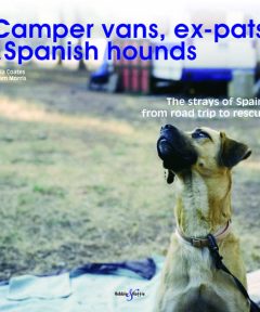 Camper Vans, Ep-Pats & Spanish Hounds