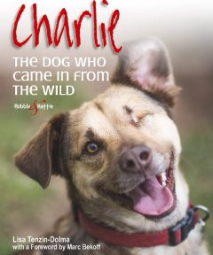 Charlie: The dog who came in from the wild