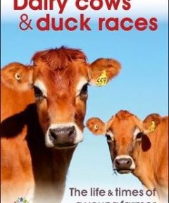 Dairy Cows & Duck Races – the life & times of a young farmer