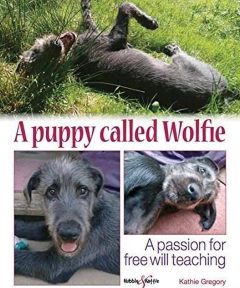 A PUPPY CALLED WOLFIE