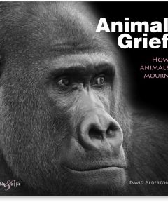 Animal Grief